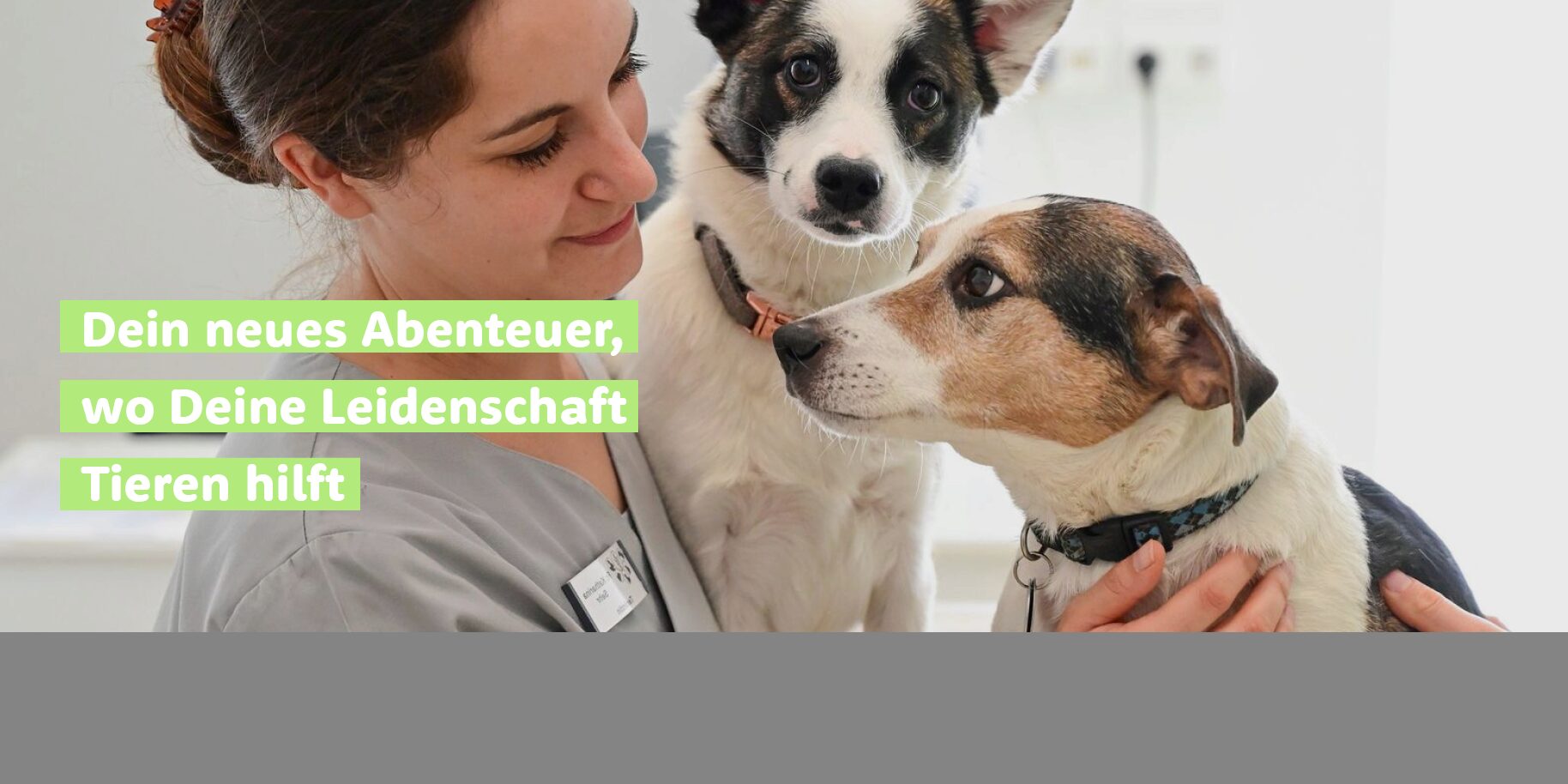 Teaserbild Kleintierpraxis Sehr